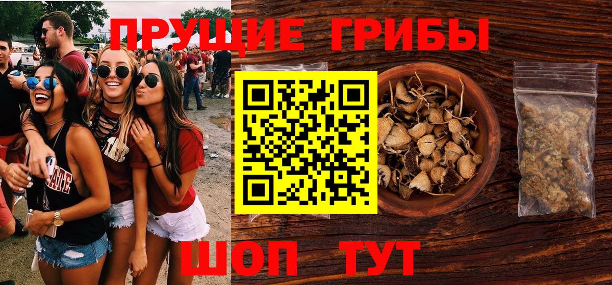 купить   Галлюциногенные грибы Psilocybine cubensis  Вход с VPN  Новоалександровск 